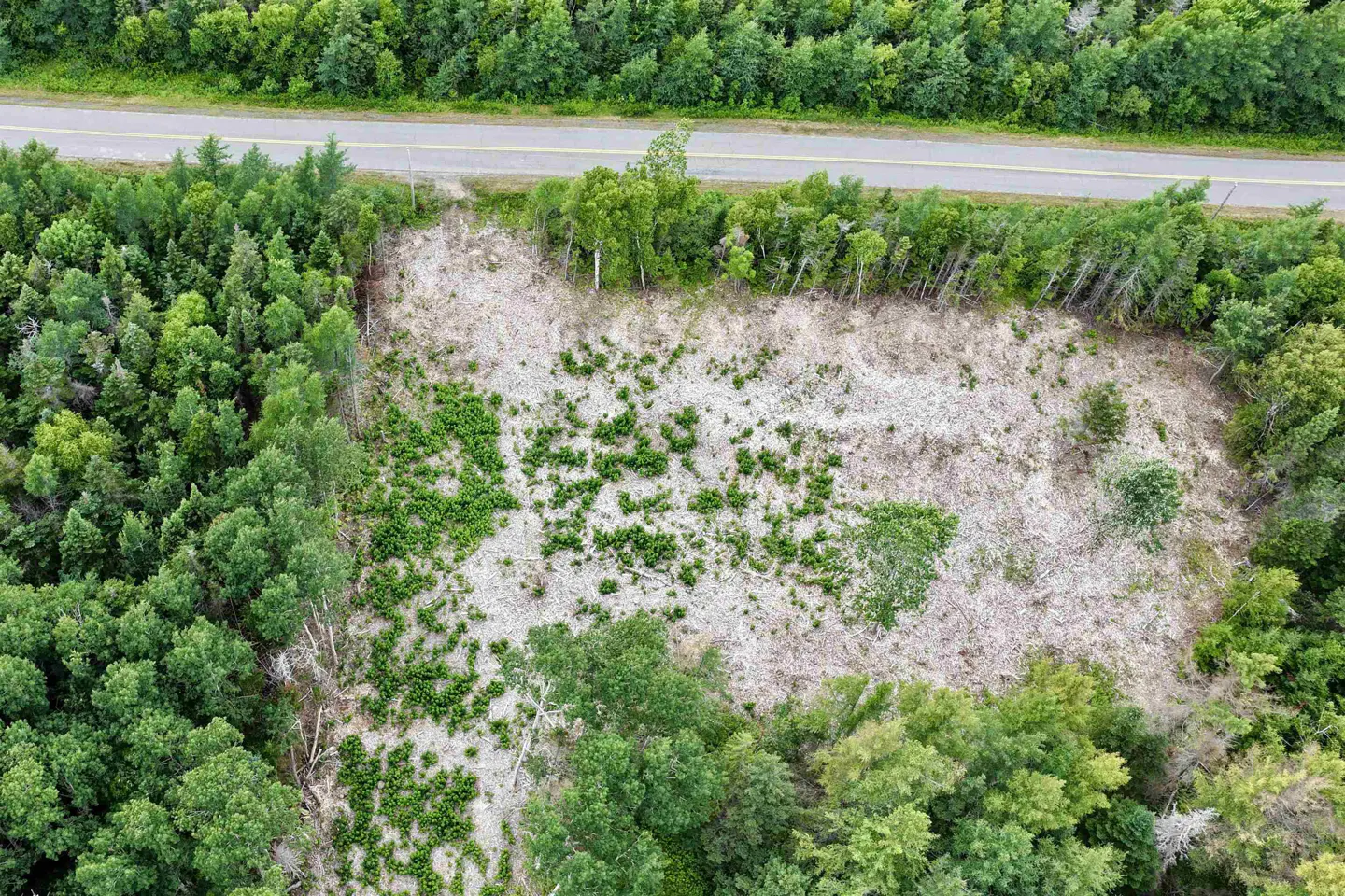 Aerial view of a cleared, sandy plot of land bordered by dense green forest and a paved road running along the top edge.