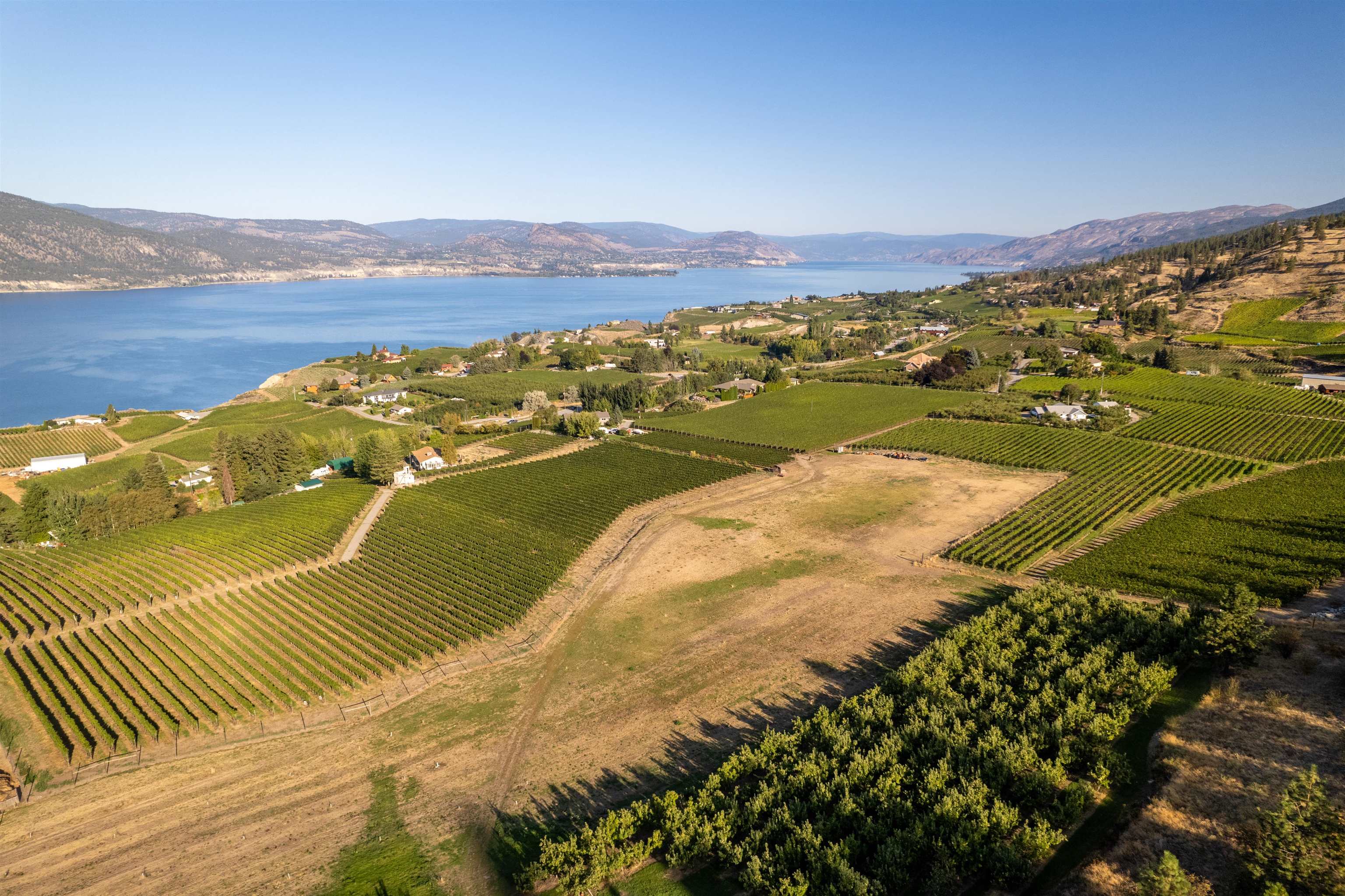 The Duncan Vineyard Estate