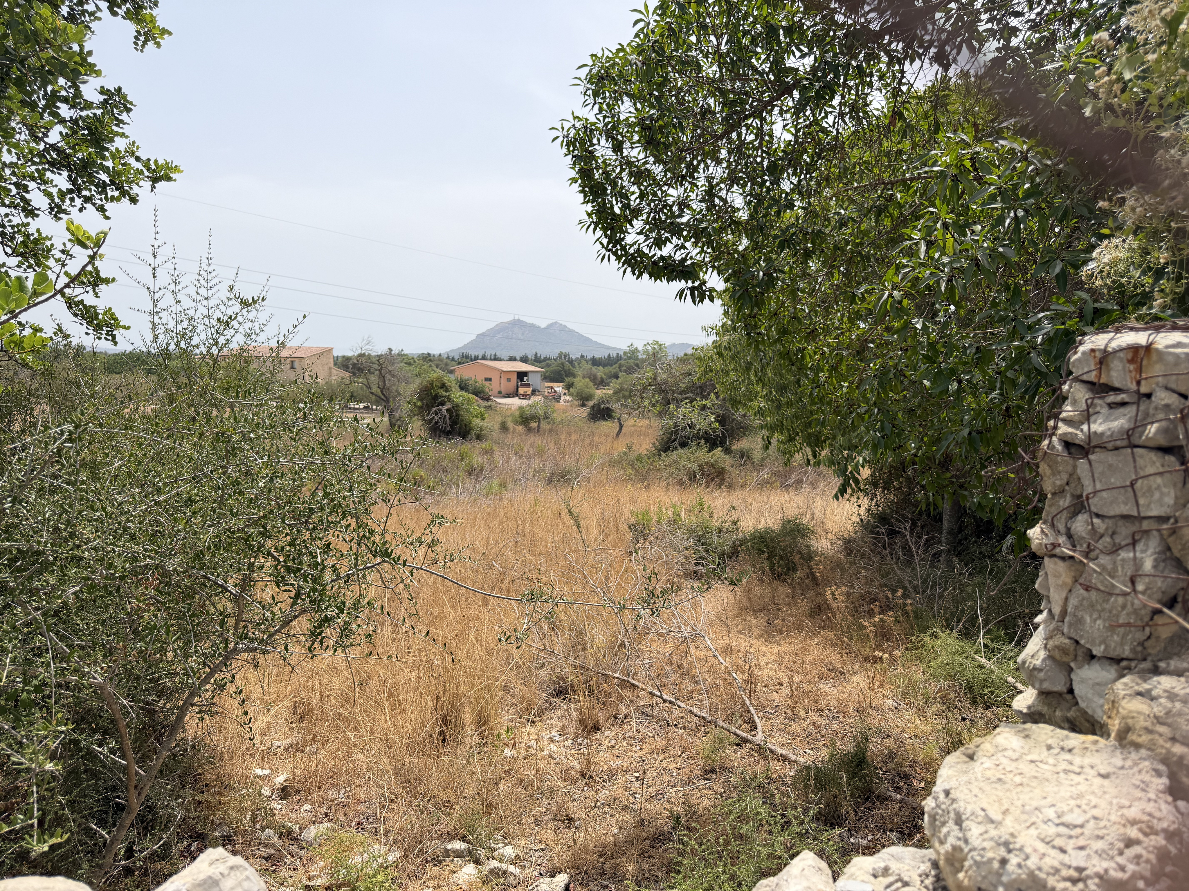 Baugrundstück in Pollensa mit Potenzial für Ihr Traumhaus