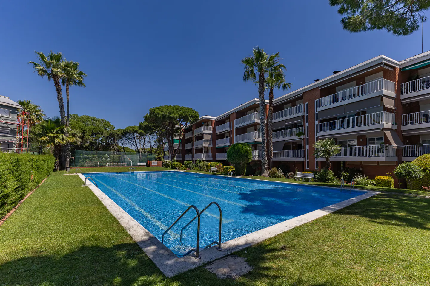 A large, rectangular swimming pool surrounded by a green lawn, palm trees, and a multi-story brick apartment building.