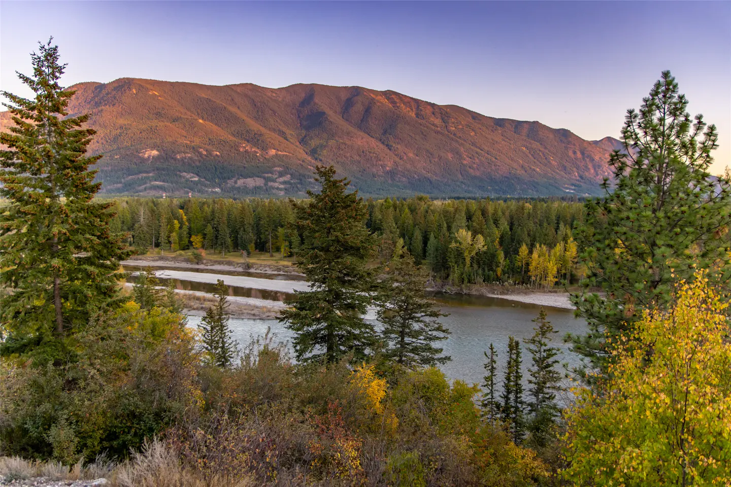 Scenic view of a river flowing through a forest, with mountains in the background under a blue sky.