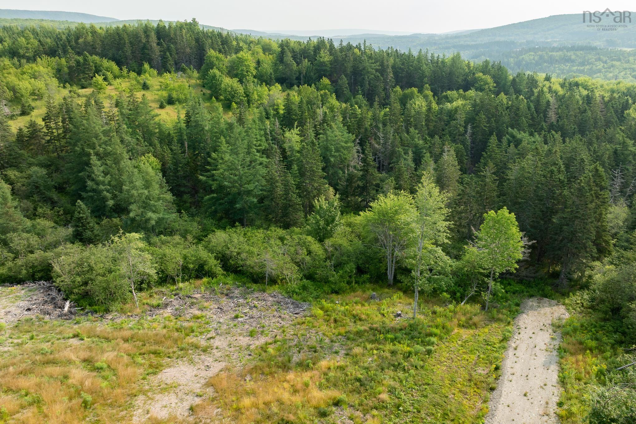 2.64 acre lot ready for your dream home!