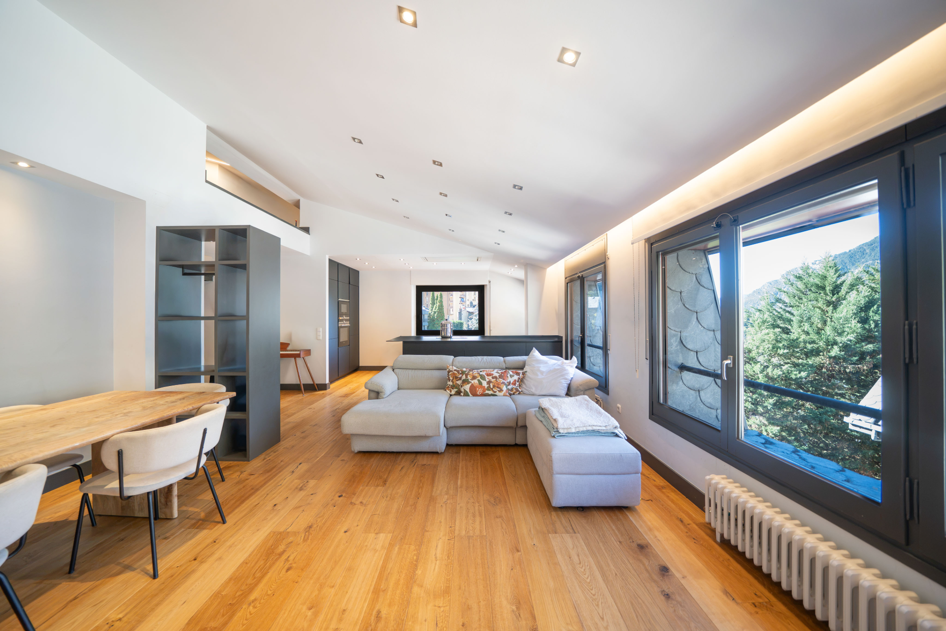 Renovated duplex penthouse in central Encamp