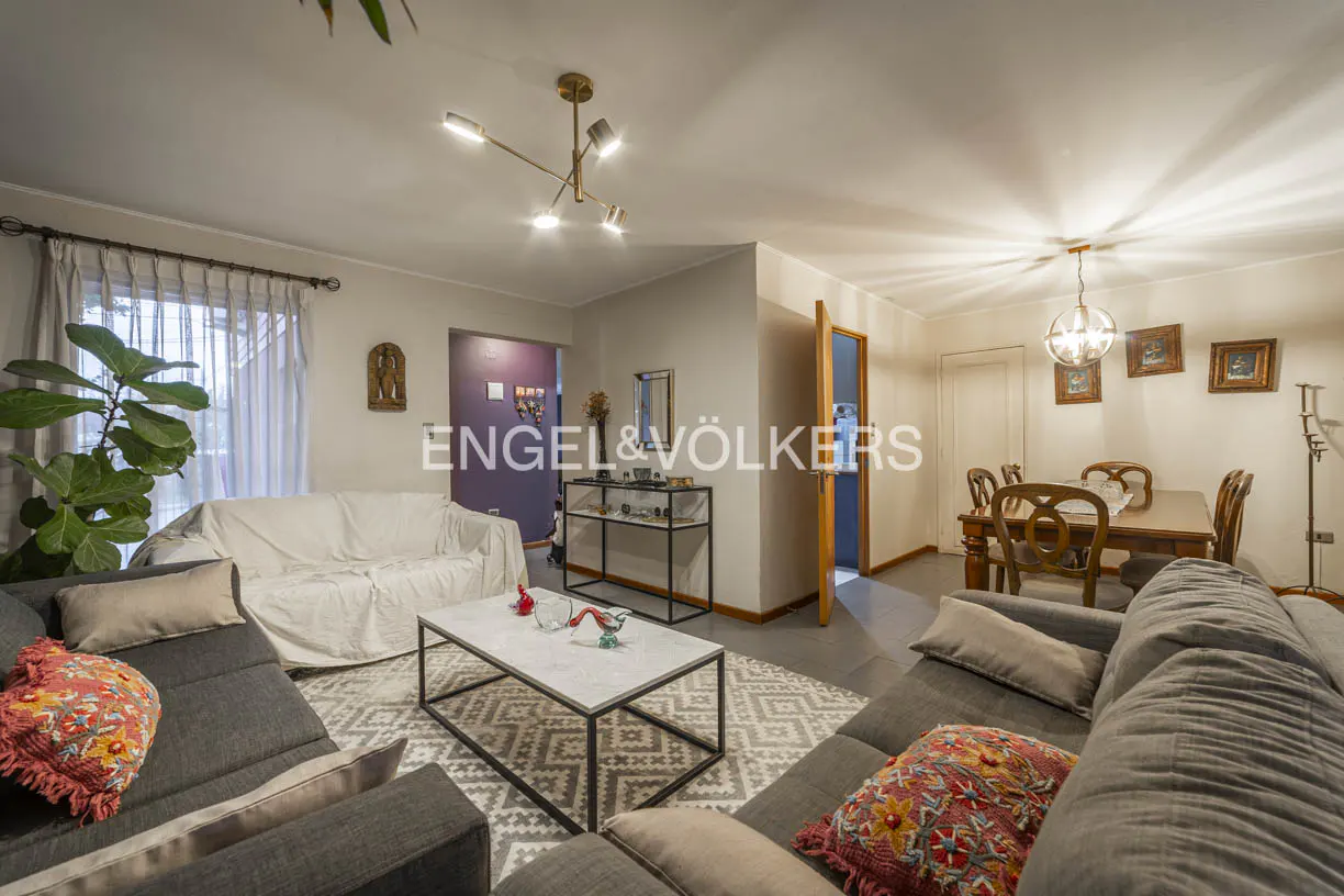 Bright living room with grey sofas, a white coffee table, a dining area, and a large potted plant by the window.