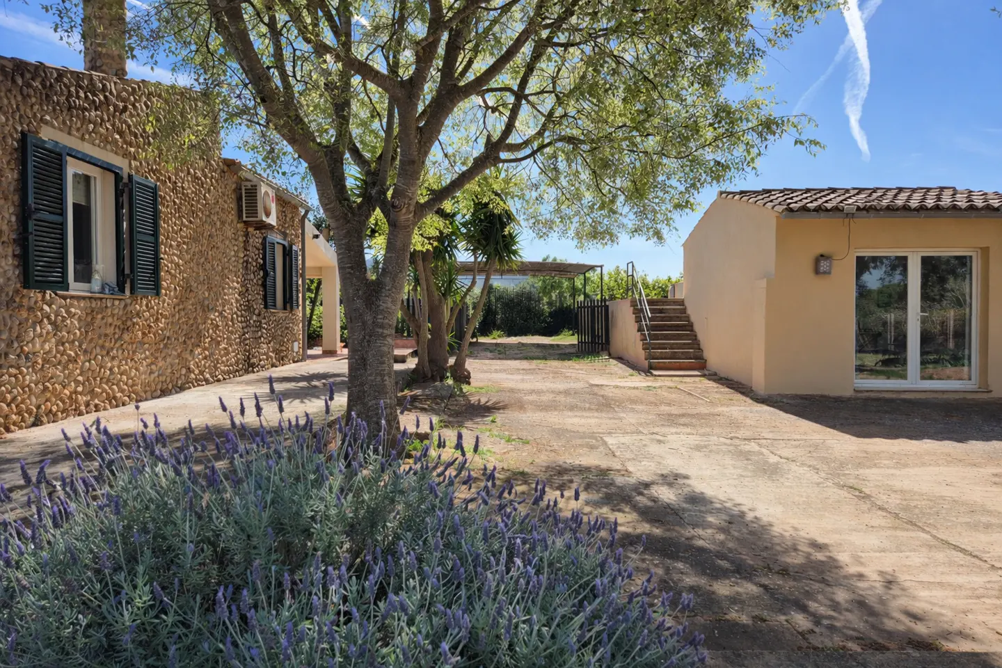 Exterior view of a stone house with dark green shutters, a tan house with stairs, and lavender bushes.