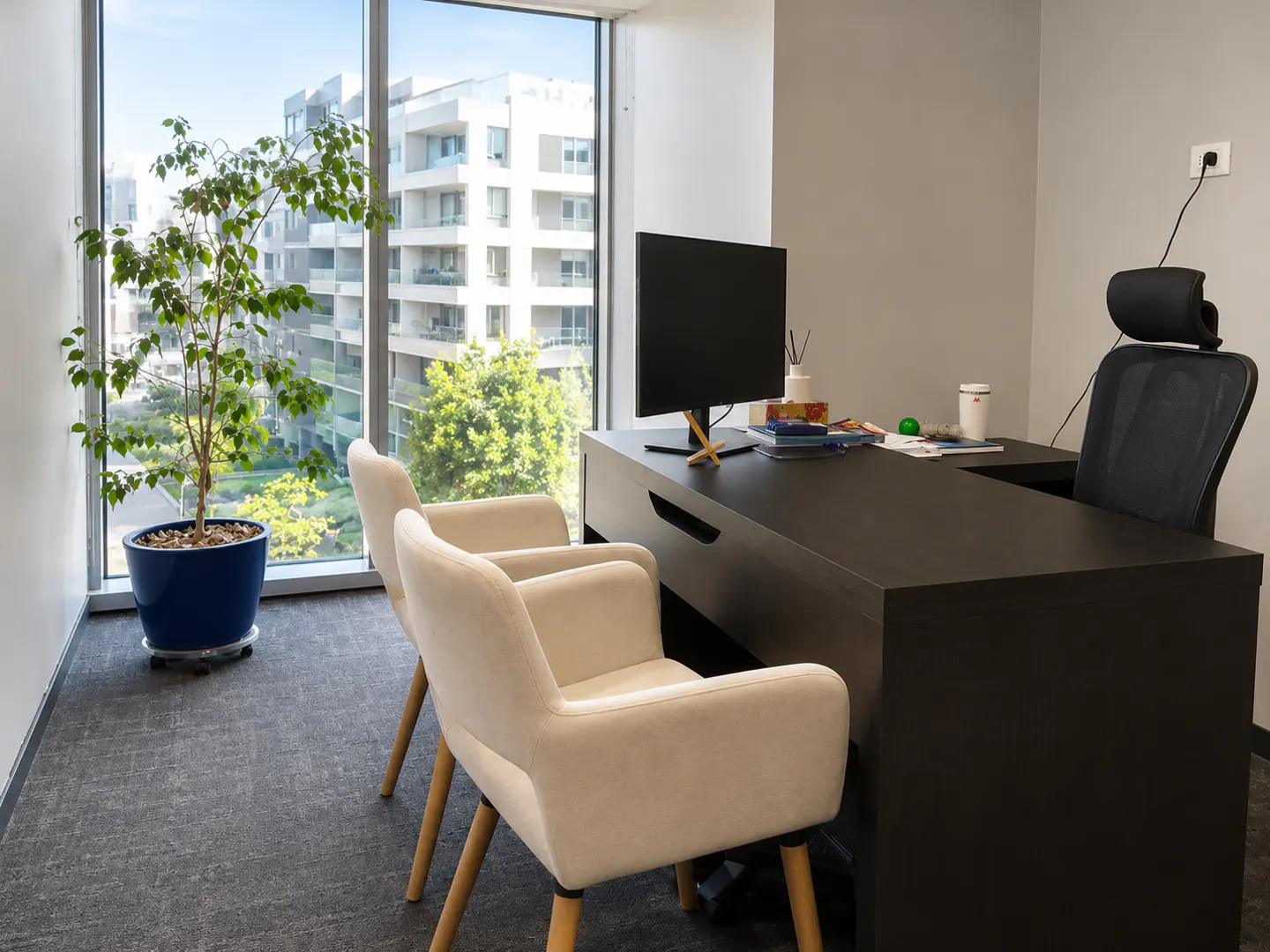 Modern office with a dark desk, black chair, two cream armchairs, and a potted plant by a window overlooking buildings.