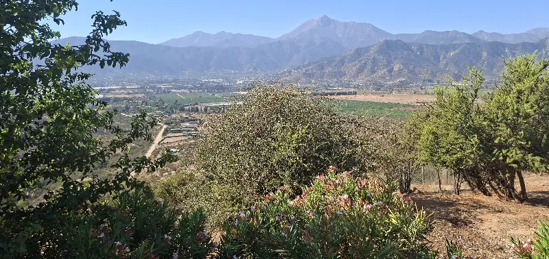 Scenic view of a valley with mountains in the background, framed by green trees and flowering bushes in the foreground.