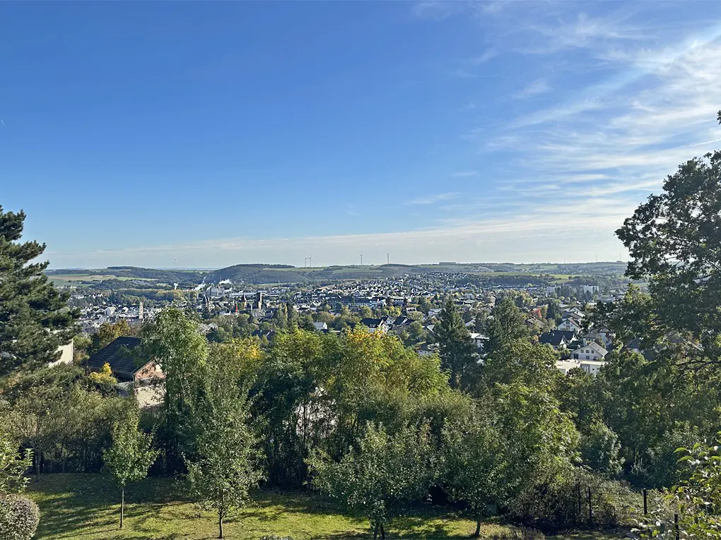 Scenic view of a town nestled among green hills under a blue sky with scattered clouds. Trees frame the foreground.