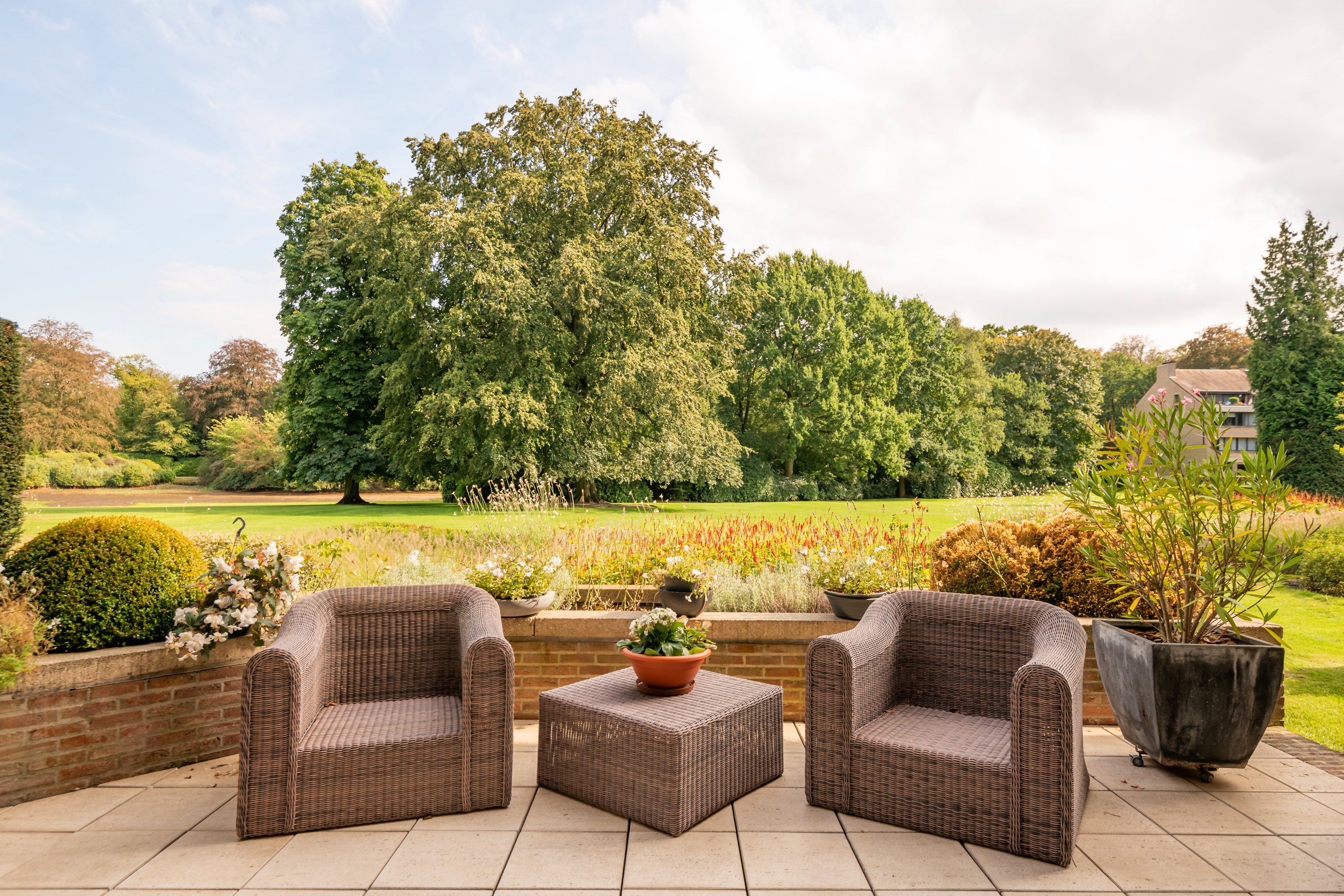 Ruim gelijkvloers appartement met royaal terras en prachtig zicht op het park!