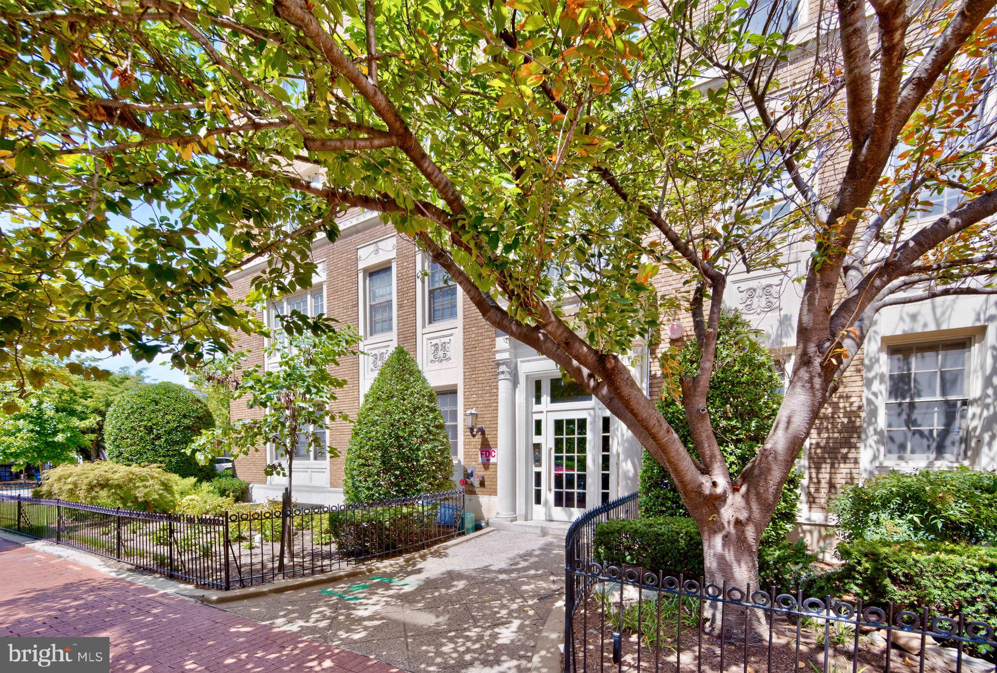 Elevated Urban Sanctuary at the Center of DC