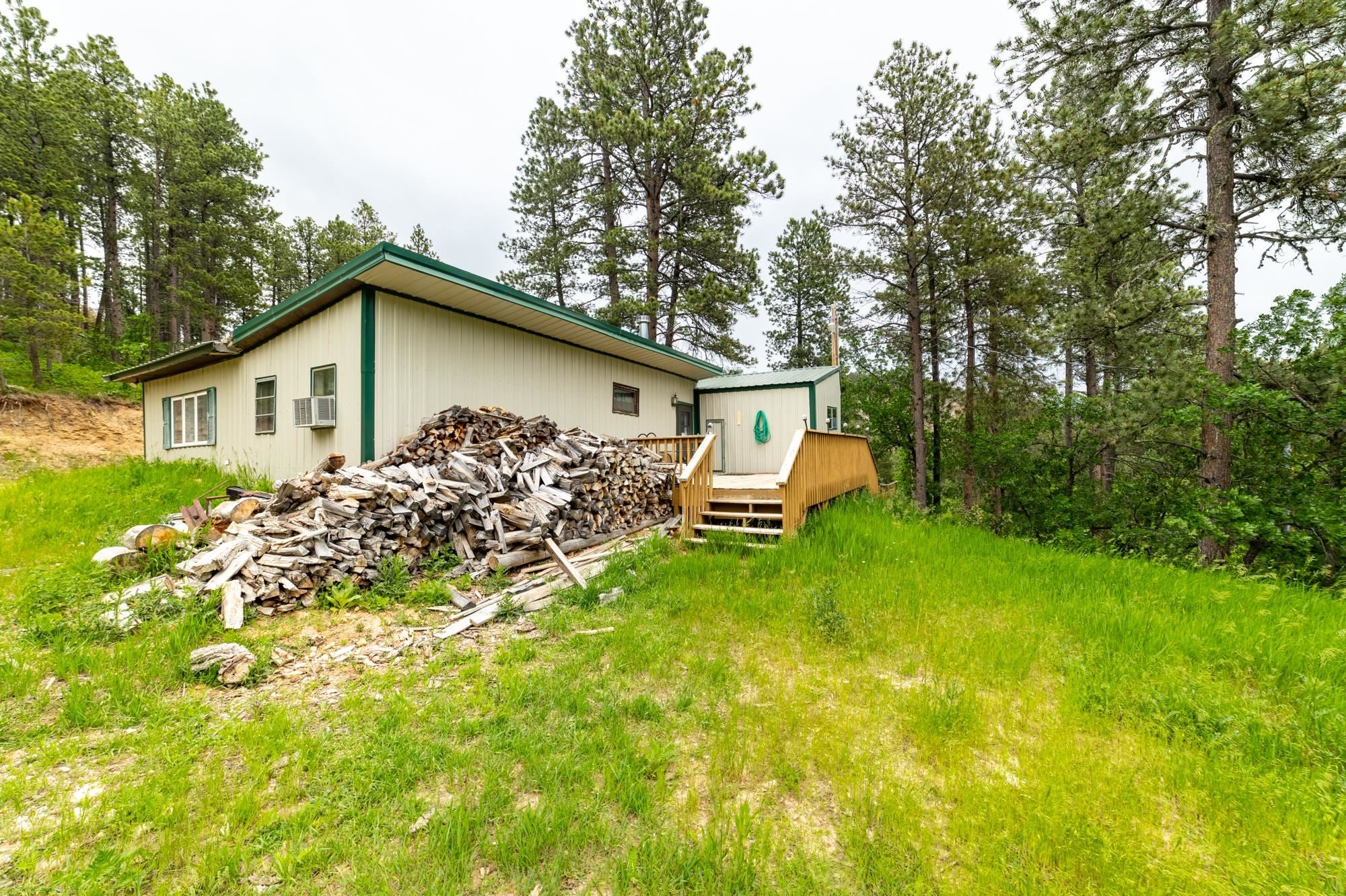 Home In The Black Hills