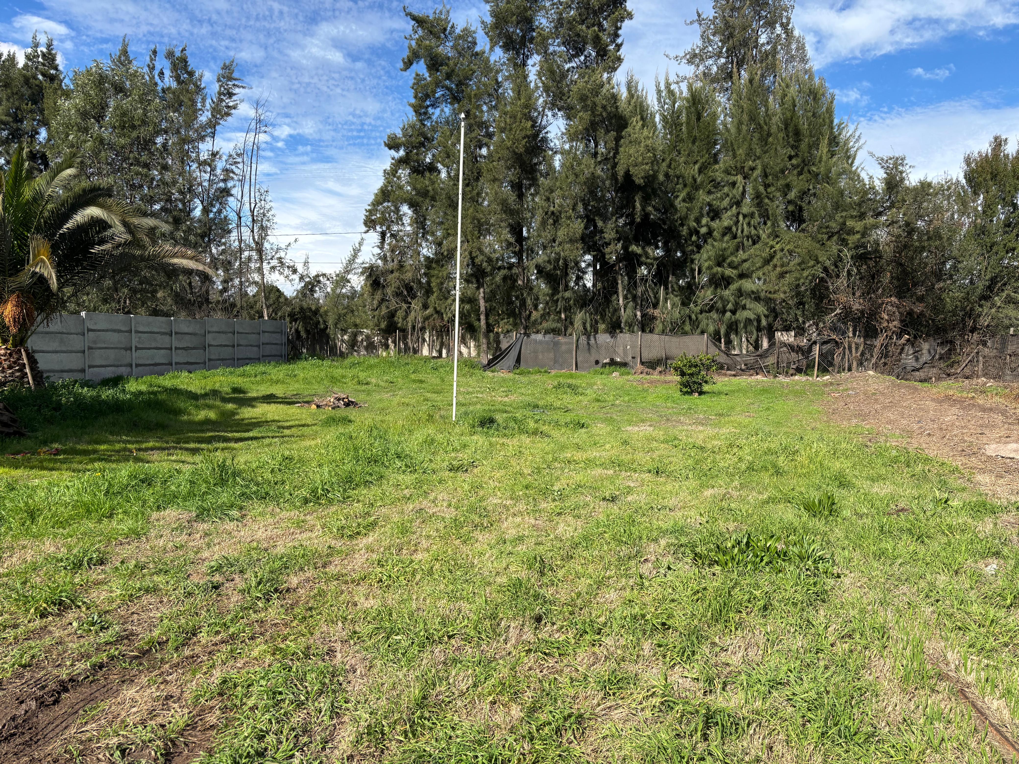 Arriendo sitio 800 mts.² a orilla de Av. Calera de Tango
