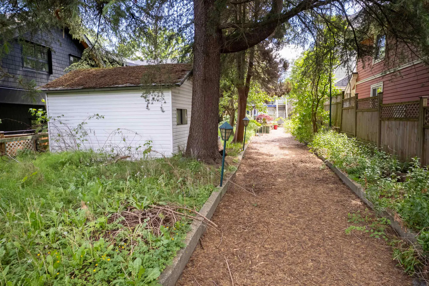 A backyard with a white shed, a wood chip path, and a wooden fence. Green trees and plants surround the area.