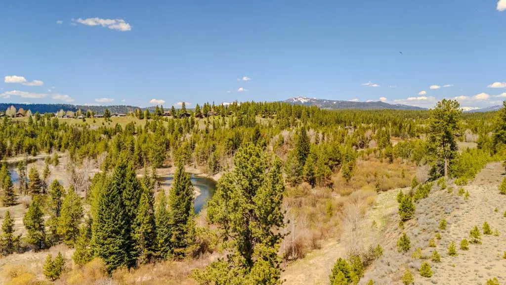 Scenic view of a lush green forest with a winding river under a clear blue sky. Distant mountains are visible in the background.