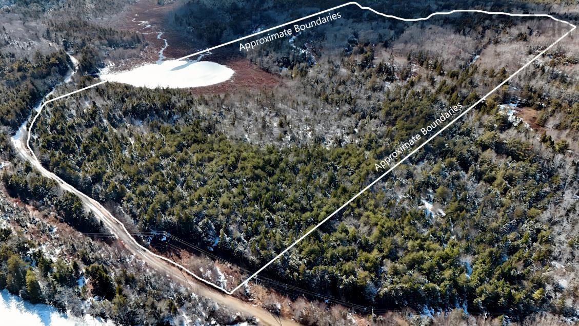 44 Acres of Your Own Space to Explore and Enjoy