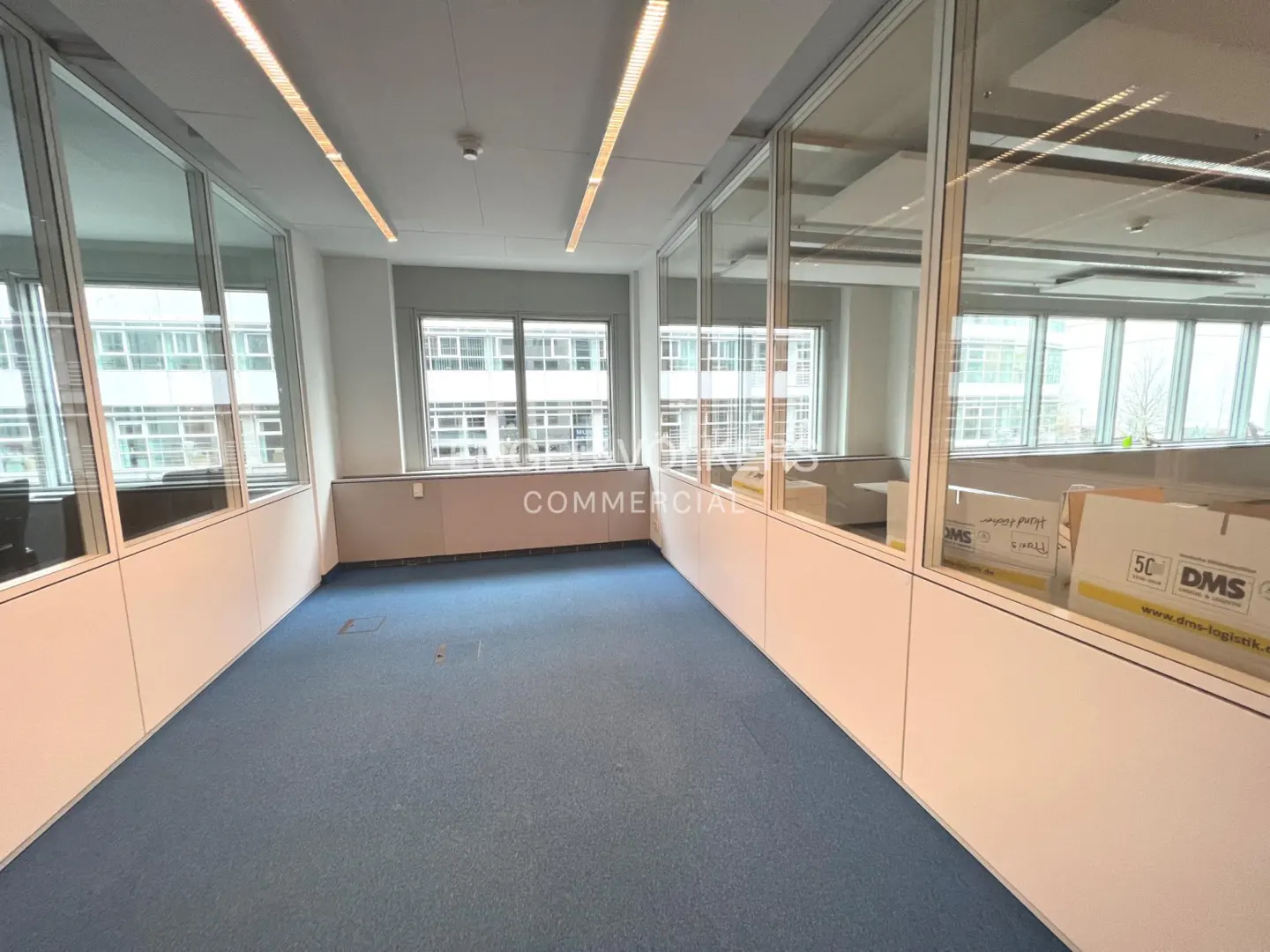 Bright office space with blue carpet, white walls, and glass partitions. Large windows offer natural light.