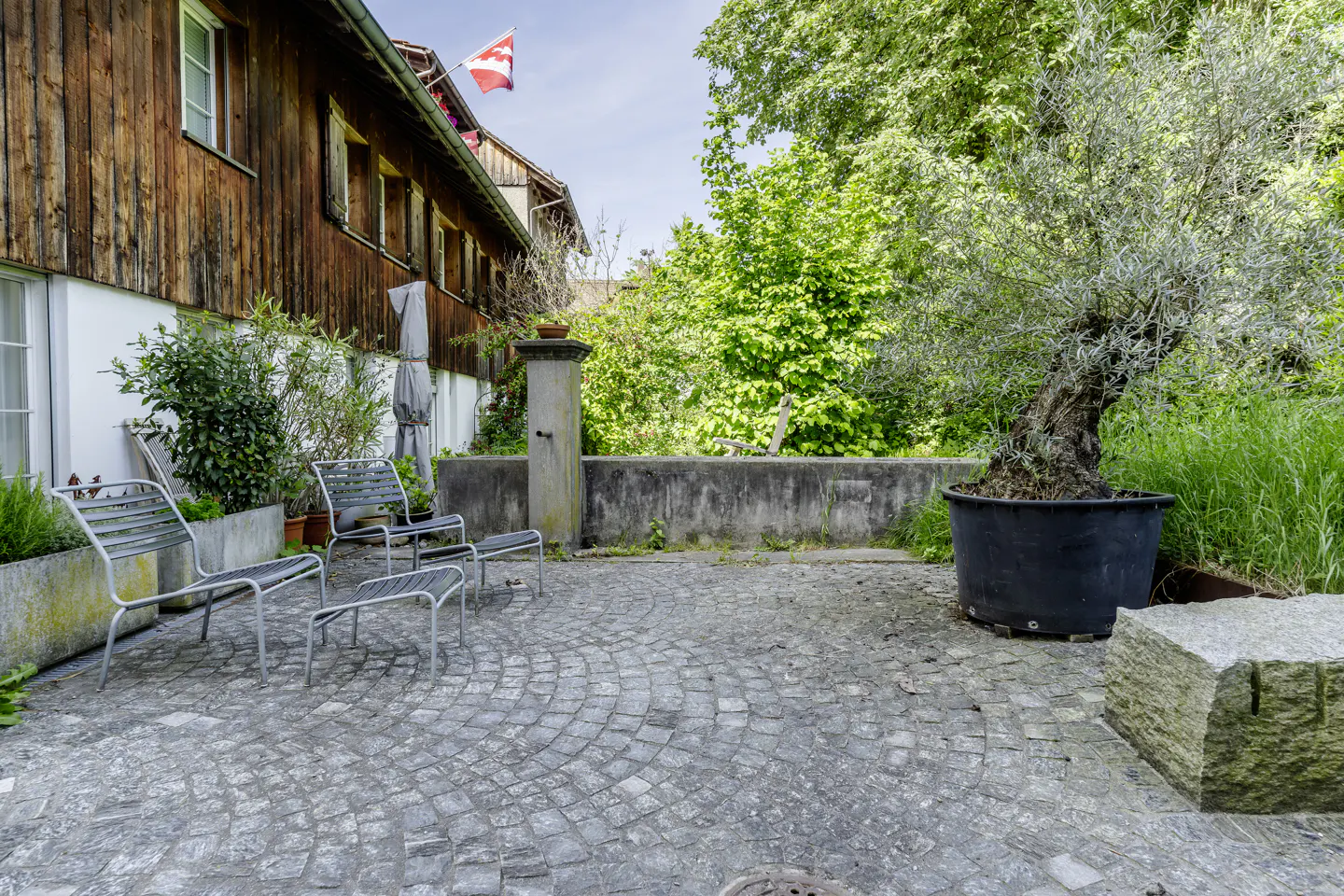 Cobblestone patio with metal chairs, a large potted olive tree, and a rustic wooden building with a flag in the background.