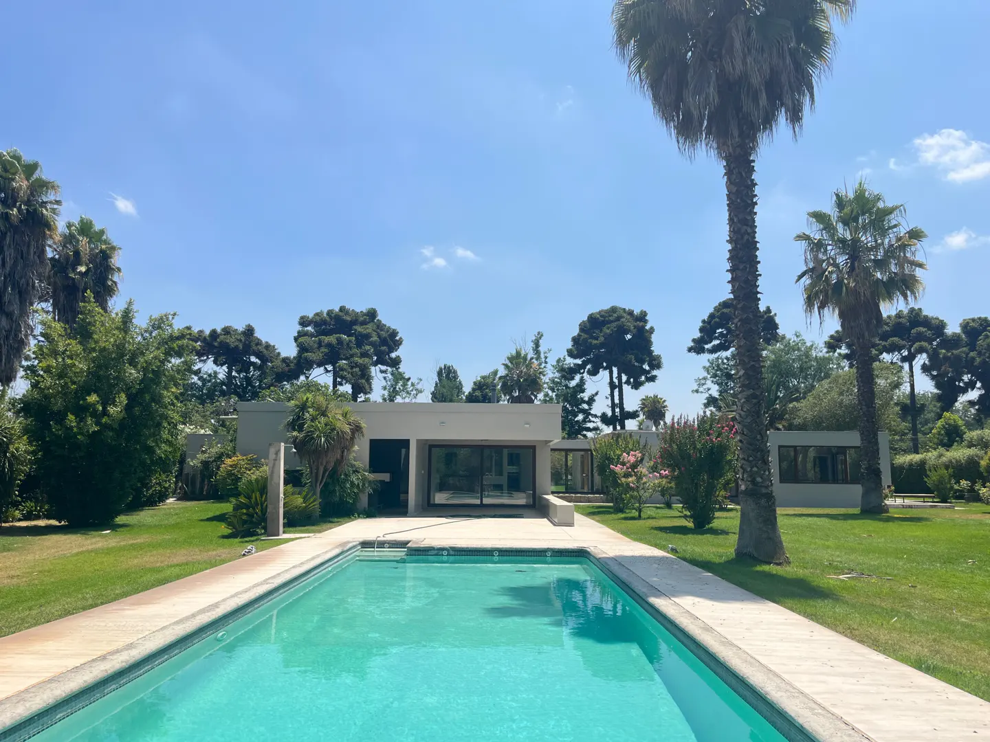 A modern, light gray house with a turquoise pool in the foreground, surrounded by green grass and palm trees under a blue sky.