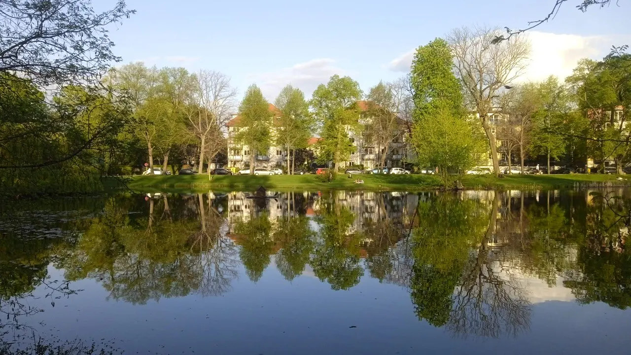 Scenic view of a calm lake reflecting trees and buildings under a blue sky with light clouds.