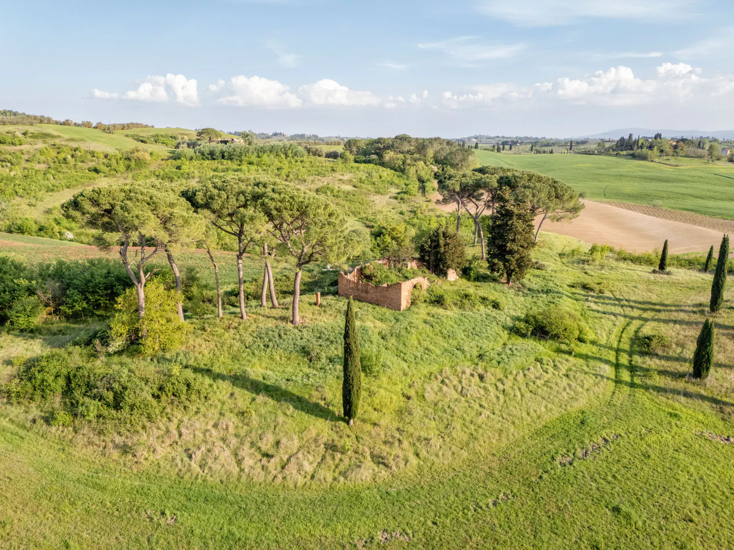 Aerial view of a green, hilly landscape with tall trees, a ruined building, and a blue sky with white clouds.