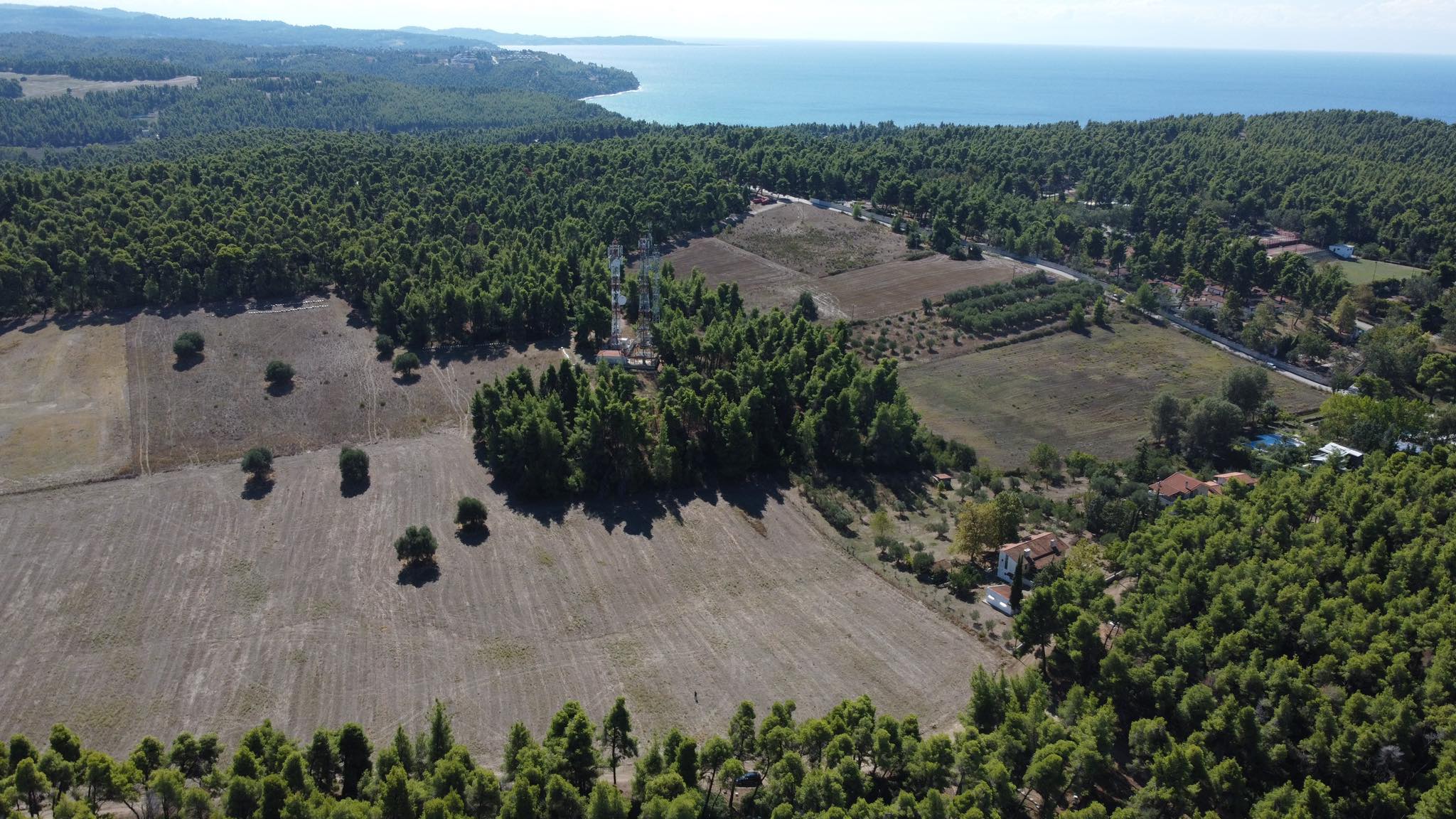 Buildable investment plot in Sane