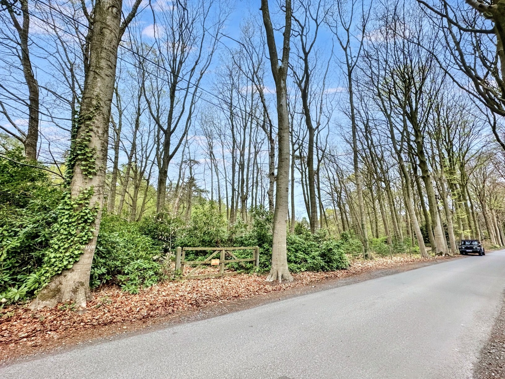 Exclusieve Bouwgrond te Koop – 3915 m² in het Hart van het Hertsbergse Bos