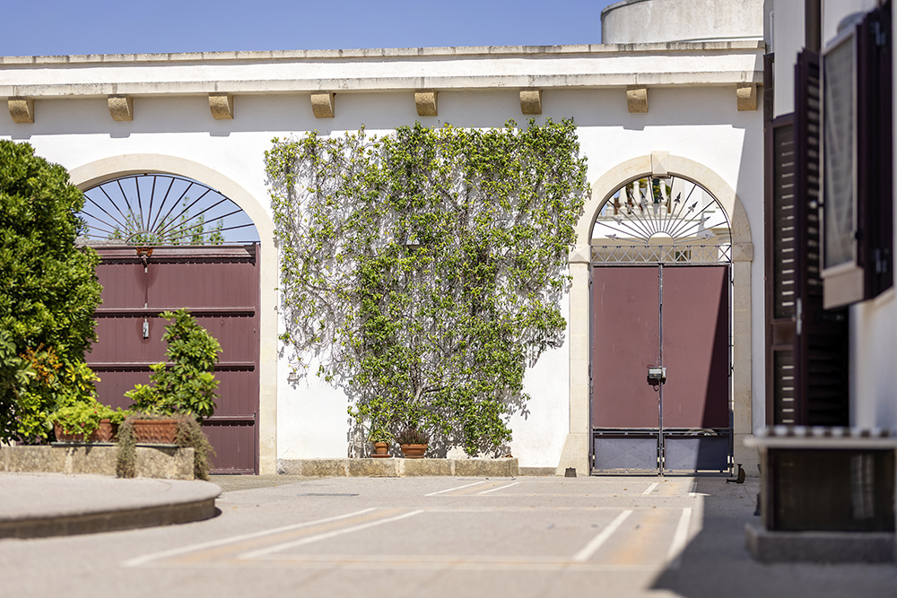 Bright home with a large garden and privacy