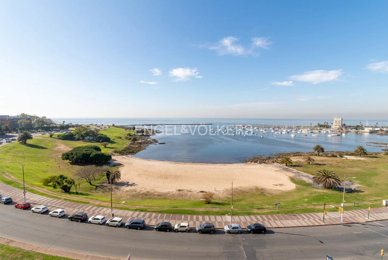 Spectacular unit for rent in Puerto del Buceo