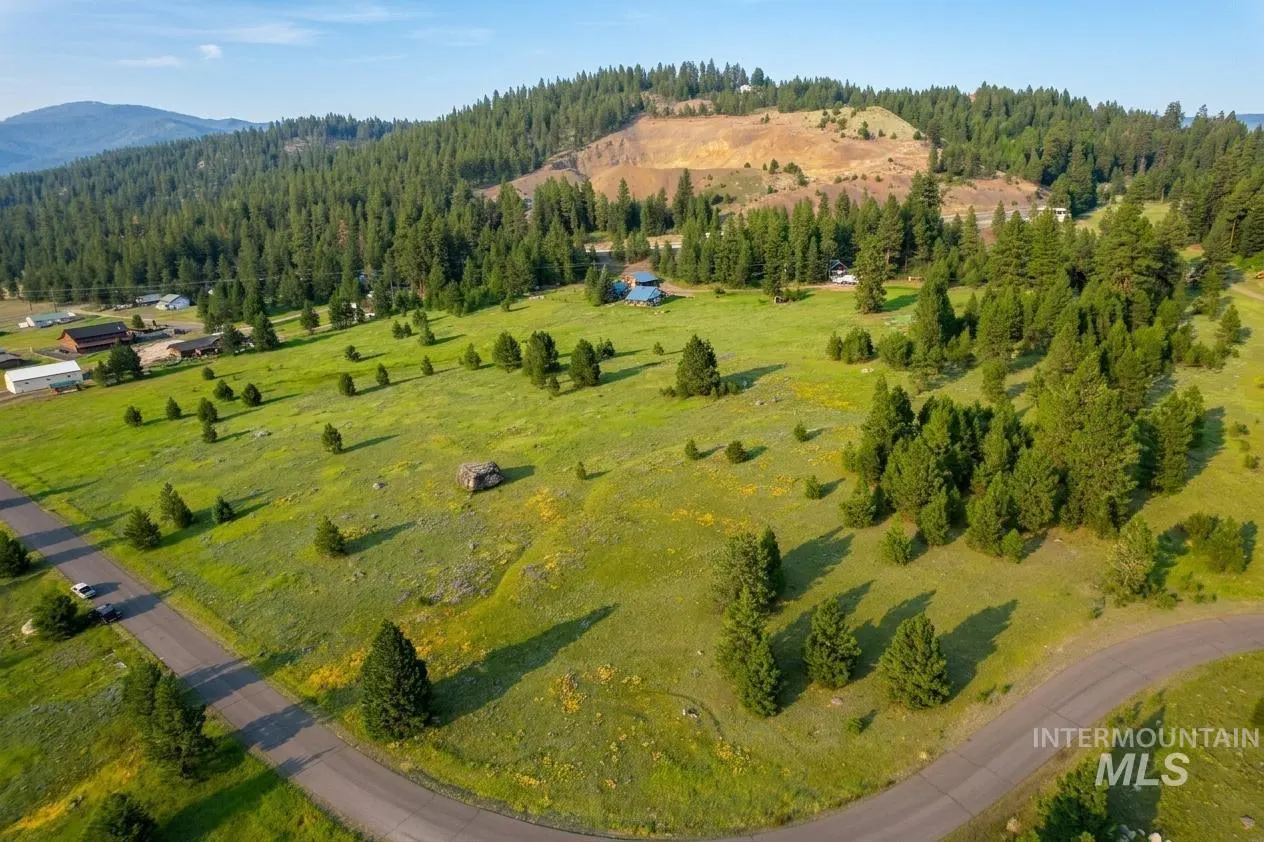 Aerial view of a green meadow with scattered trees, a road, and a forested hill in the background.