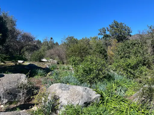Land for sale with green trees, grass, and large rocks under a clear blue sky.