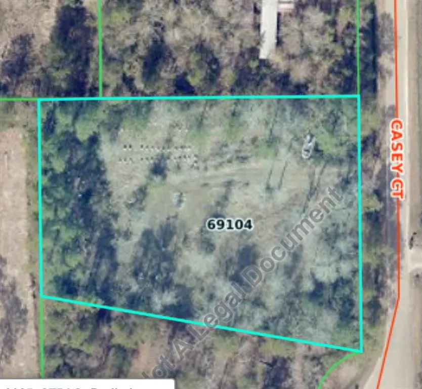 Aerial view of a wooded lot at 69104 Casey Ct, outlined in blue, with a road to the right.