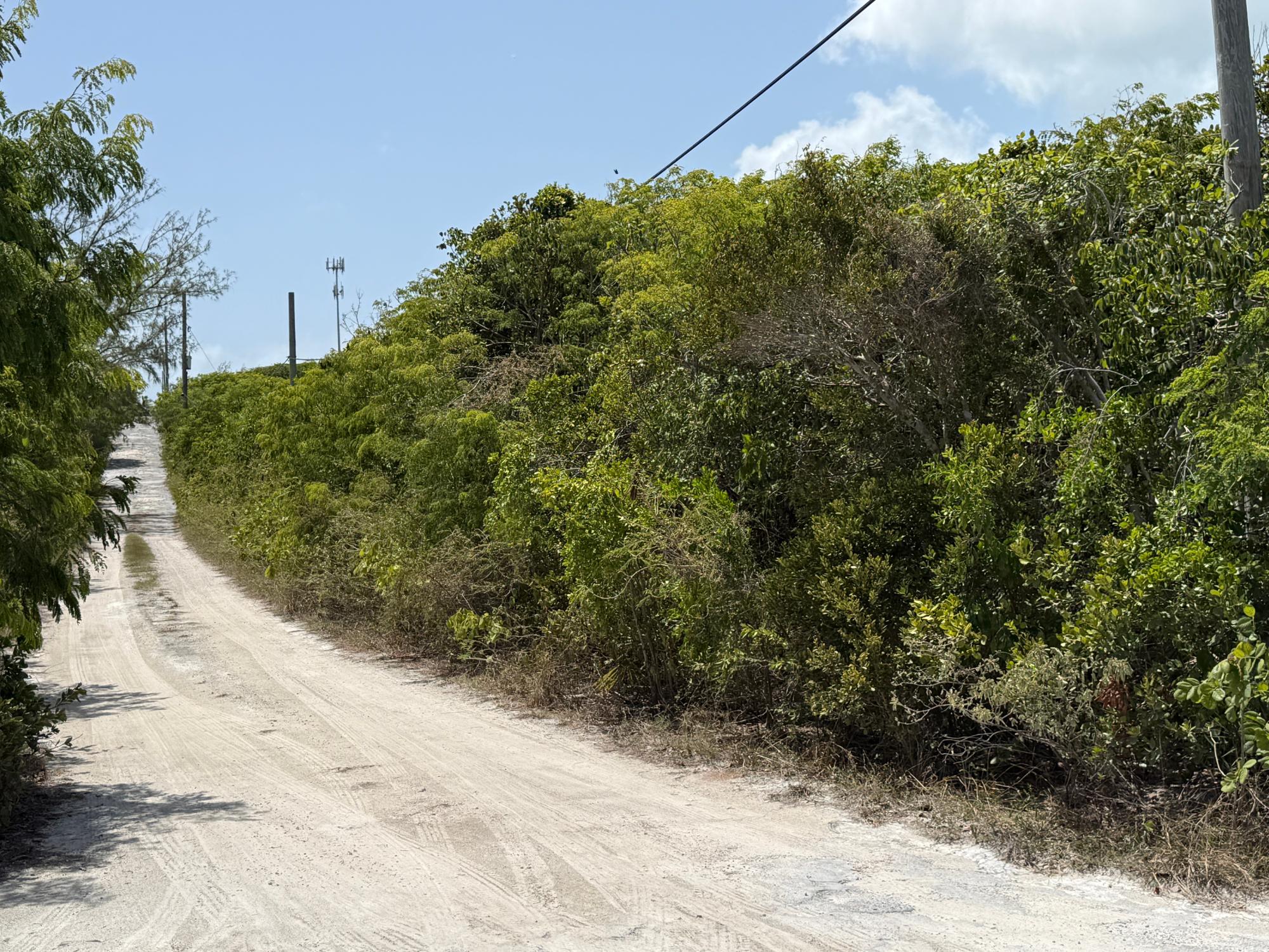 Discover Prime Land Steps from Resort Amenities