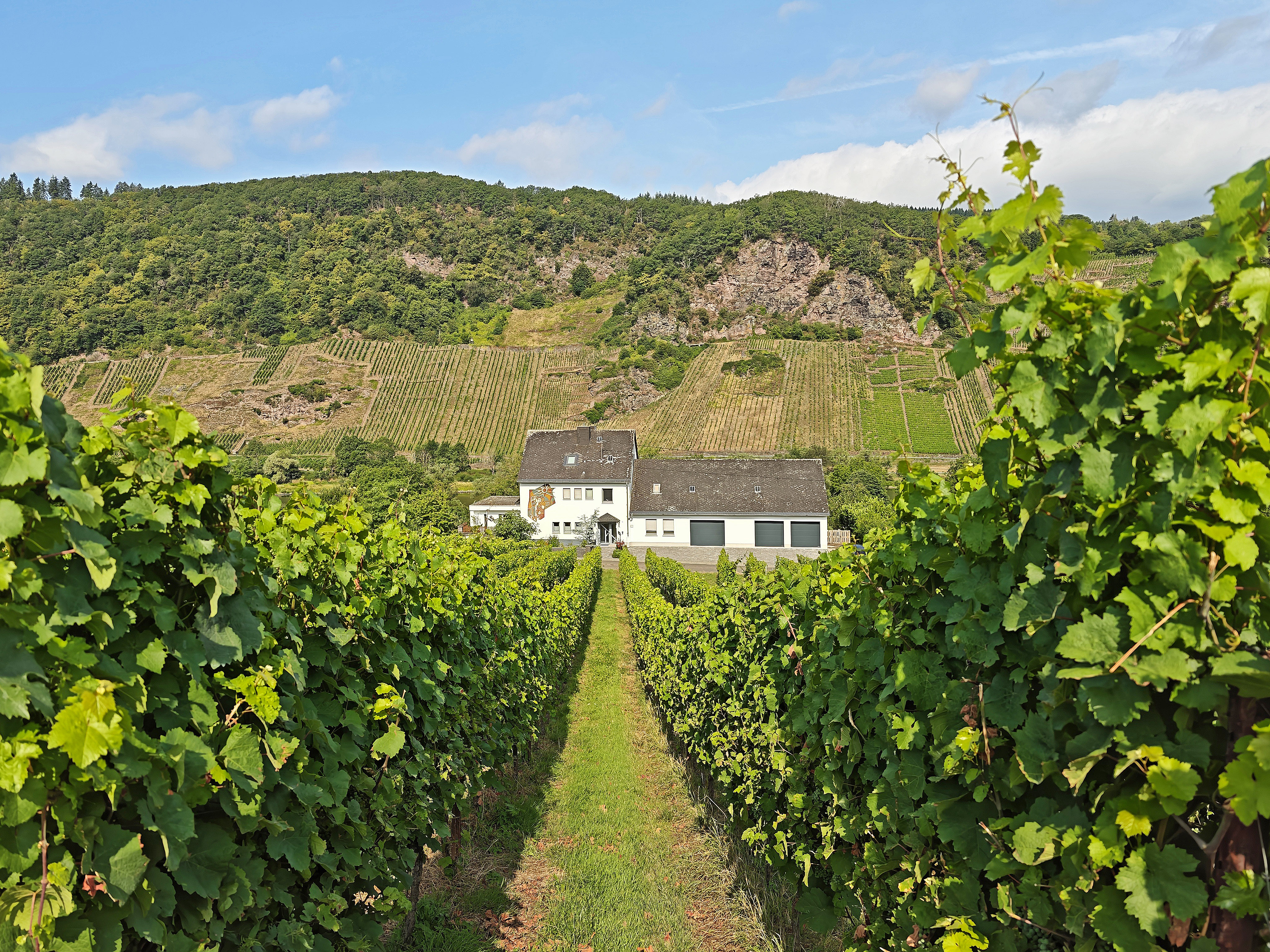 Ehemaliges Weingut im Außenbereich mit unverbautem Moselblick und 2.730 m² Weinberg direkt am Haus