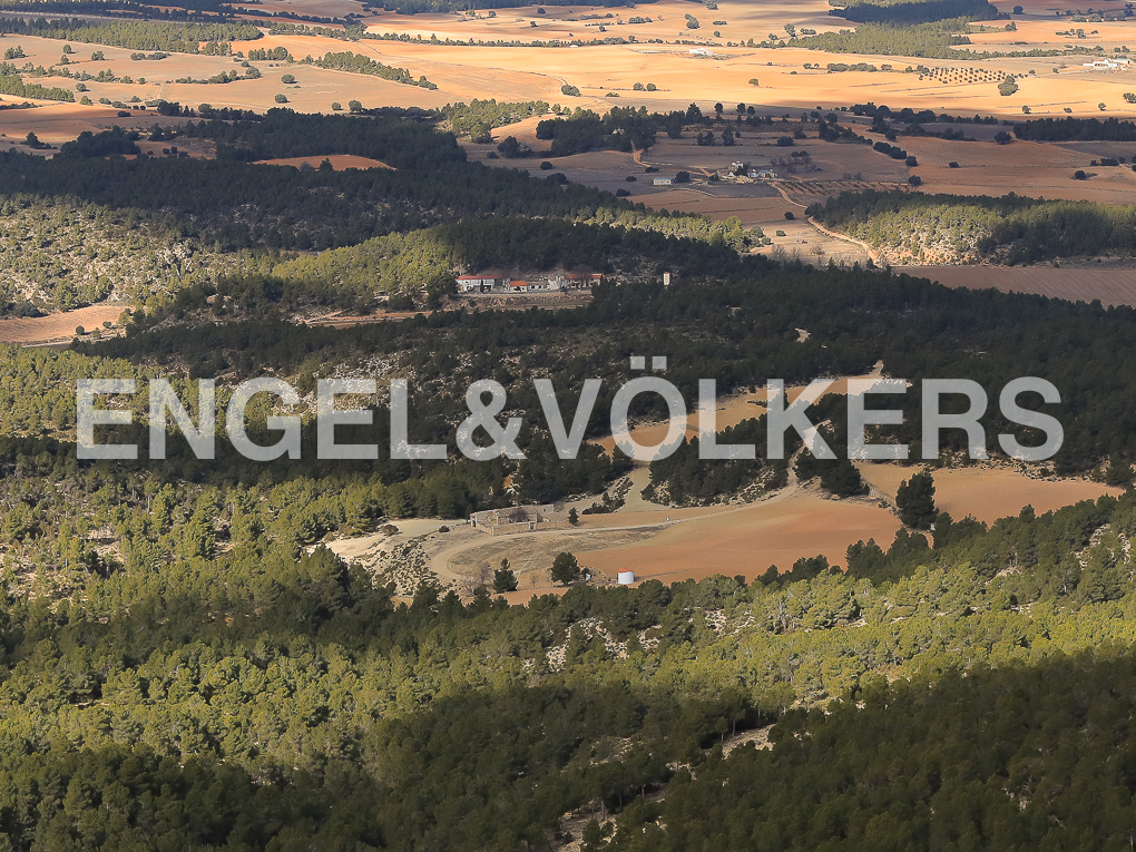 Great recreational and hunting farm in Ayora