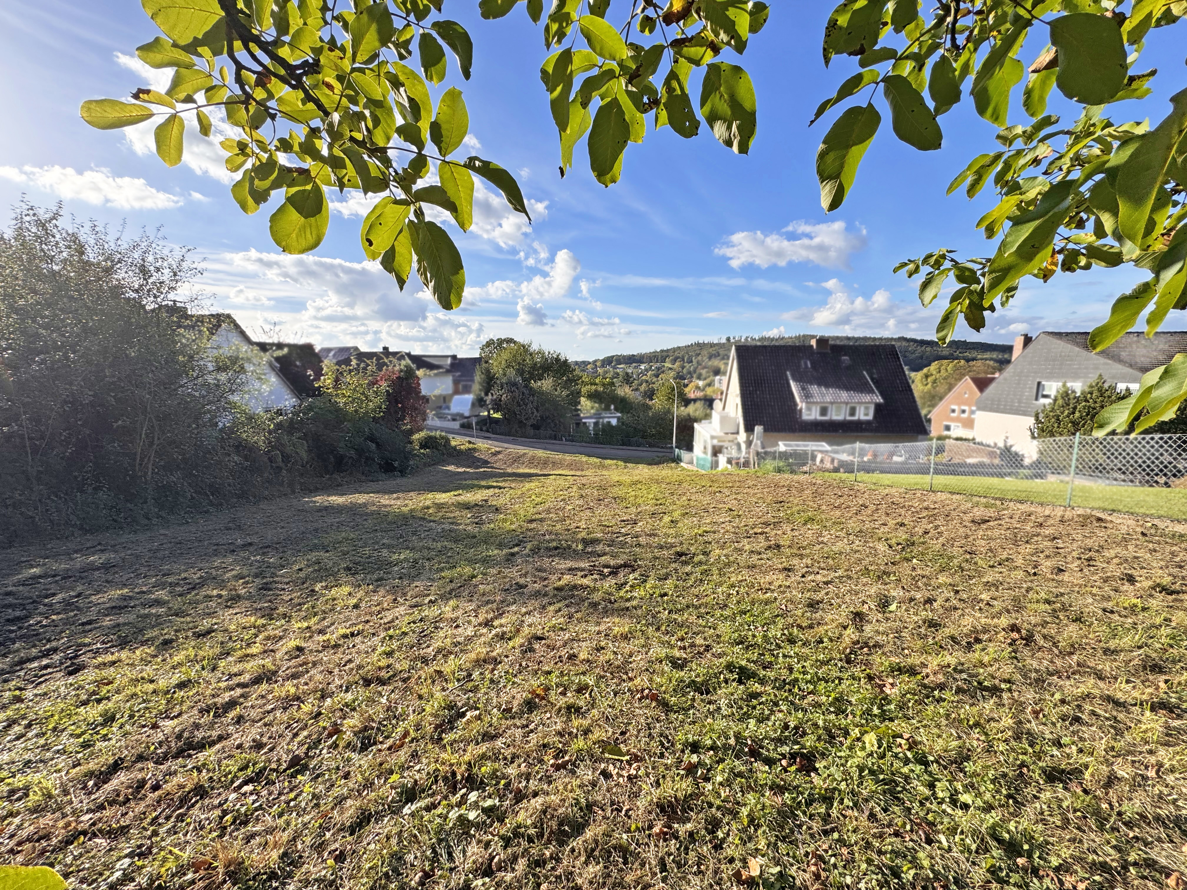 A grassy, sloping plot of land framed by tree branches, with houses and a blue sky in the background. [AI-generated text]