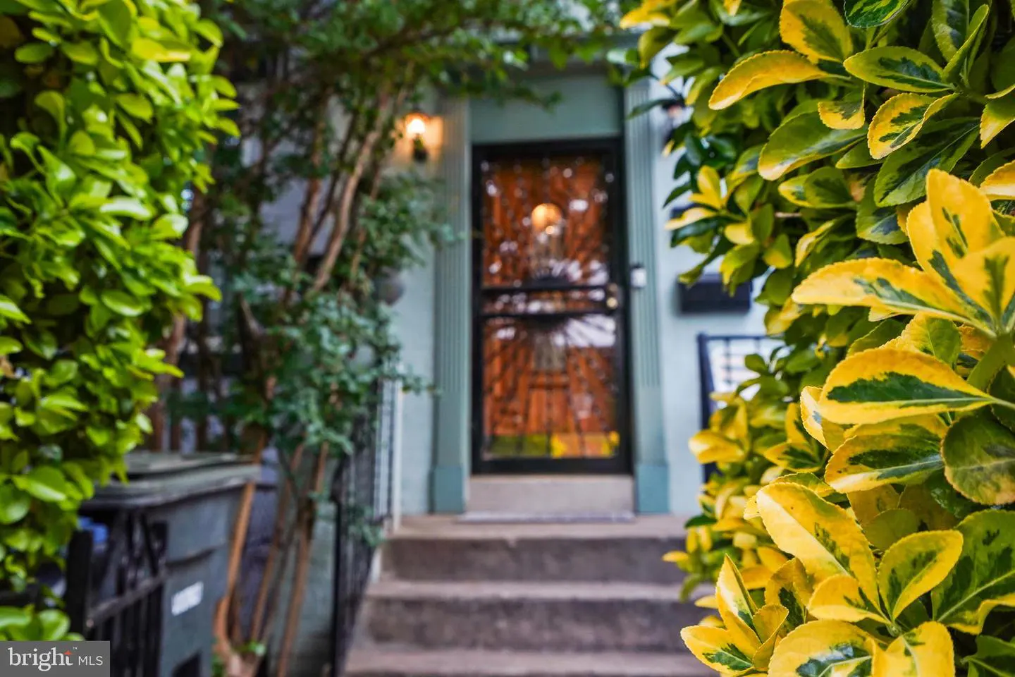 Front door of a light blue house with a black screen door, framed by green and yellow bushes.