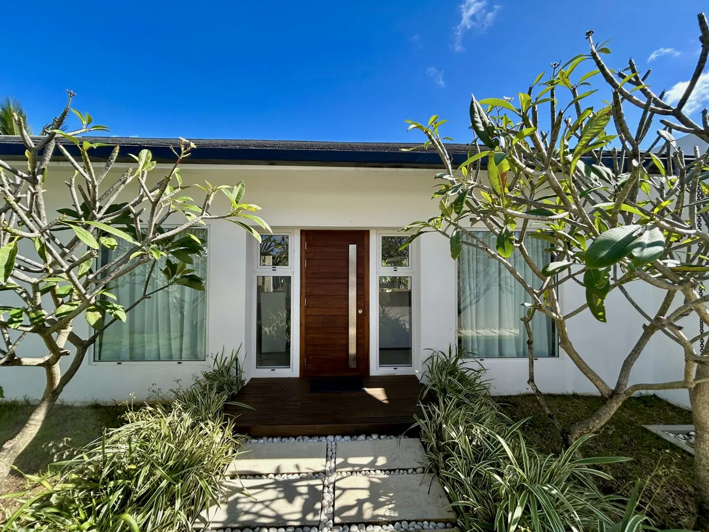 Modern home exterior with a wood door, white walls, and green plants under a blue sky.