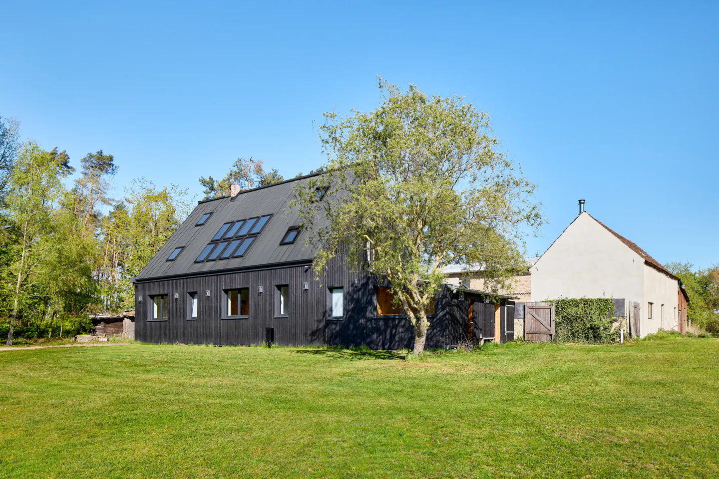 Exterior view of a modern black barn house with skylights, surrounded by a green lawn and trees under a clear blue sky.