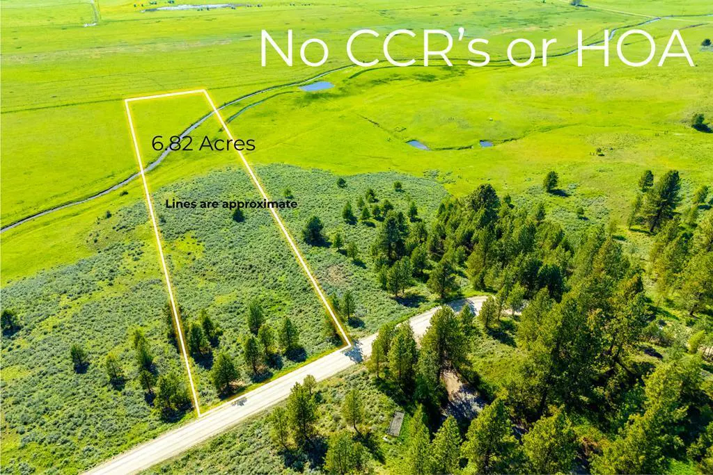 Aerial view of a 6.82-acre plot of green land with no HOA, outlined in yellow, bordering a road and pine trees.