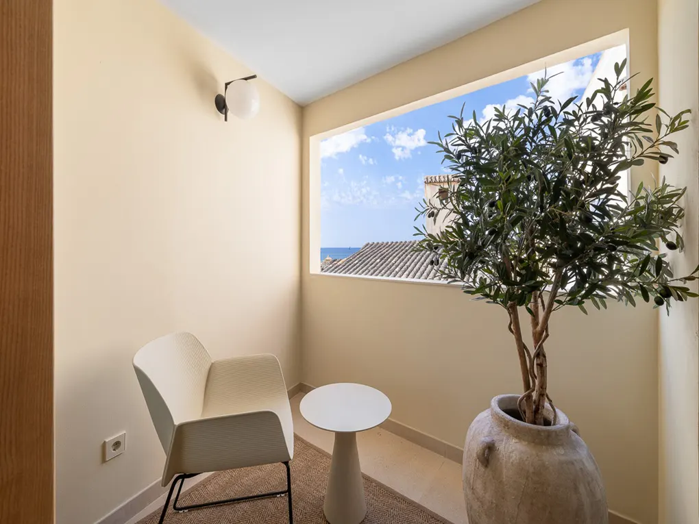 A bright balcony with a white chair, table, and potted olive tree. A window shows a view of rooftops and the sea.