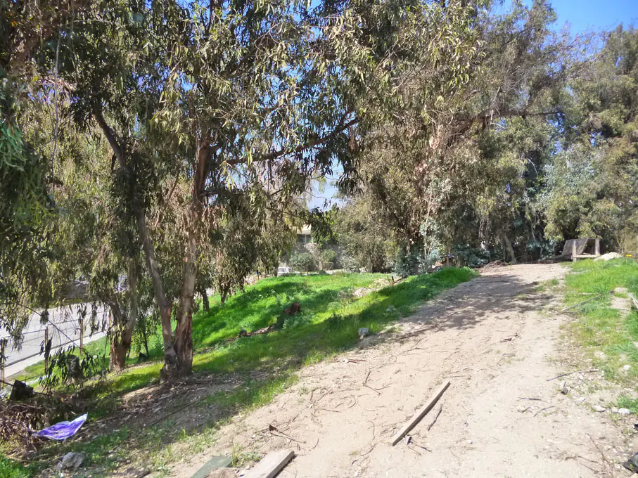 Dirt path leading through a wooded area with green grass and trees under a blue sky.