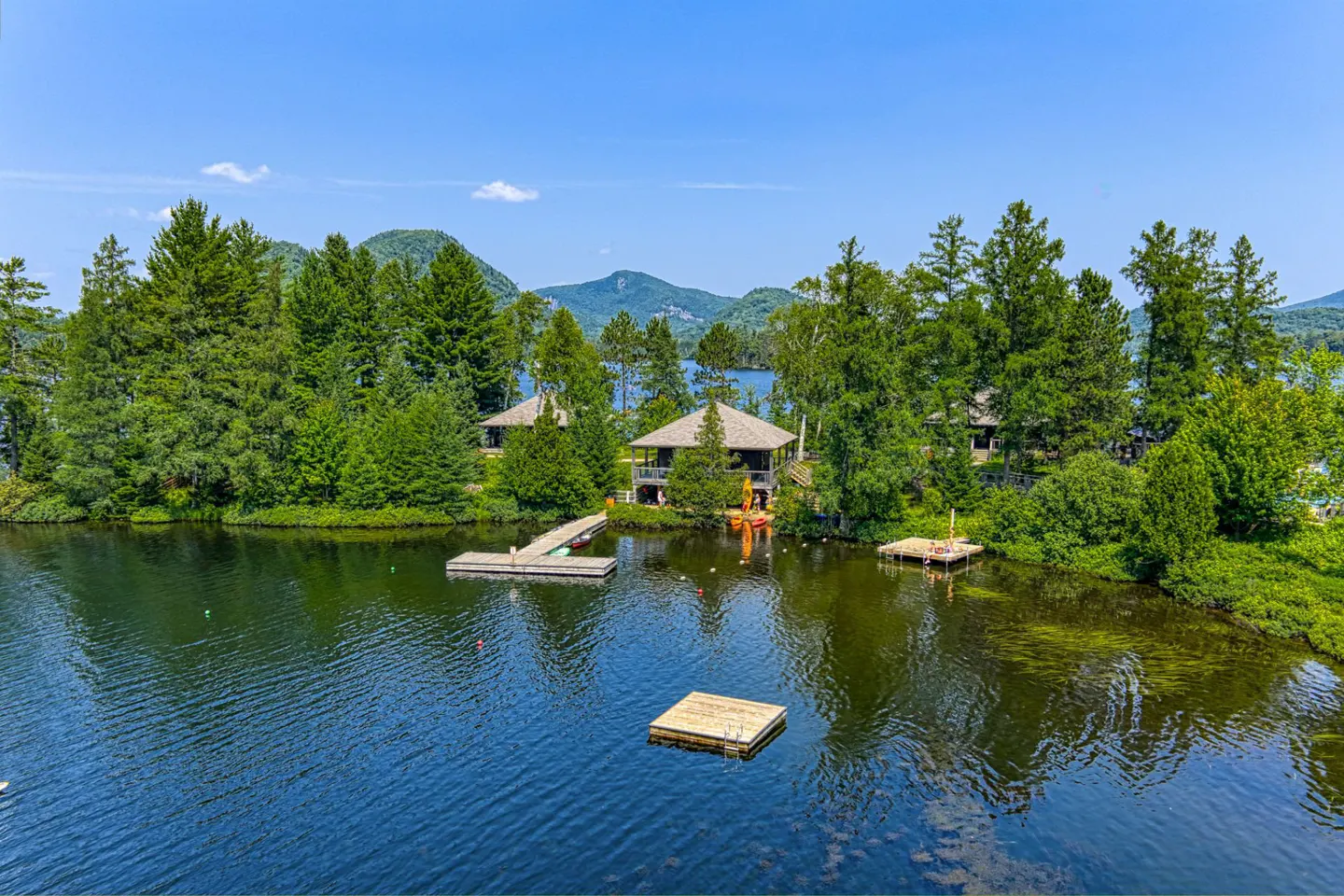 Aerial view of lakefront property with docks, trees, and mountains under a blue sky.
