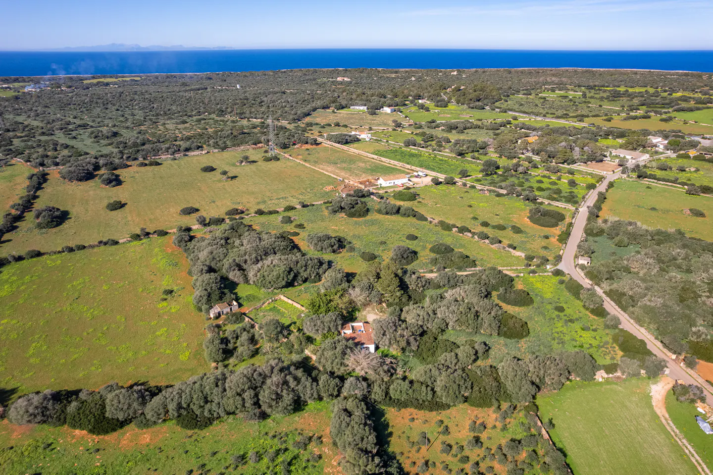 Aerial view of green fields and trees with a blue ocean in the background.