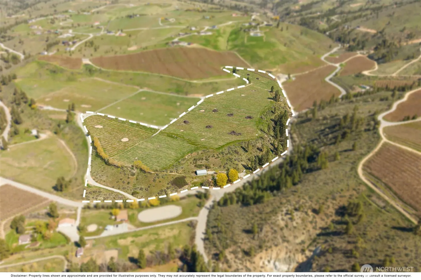 Aerial view of a green property outlined in white, with vineyards, trees, and a small pond. Rolling hills and other properties surround it.