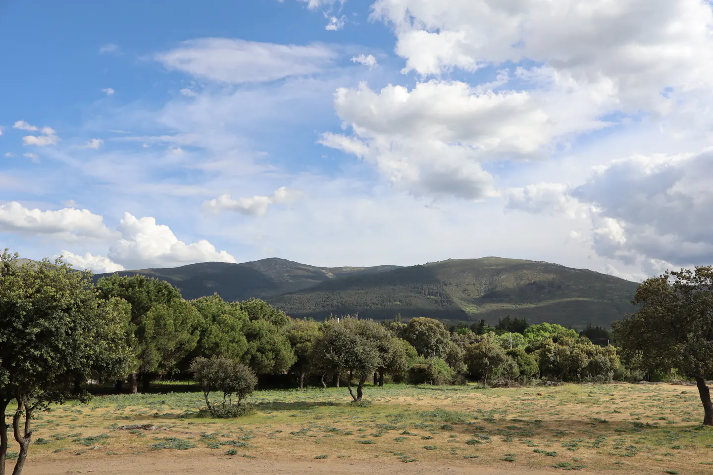 Landscape view of a field with trees and a mountain range under a blue sky with white clouds.