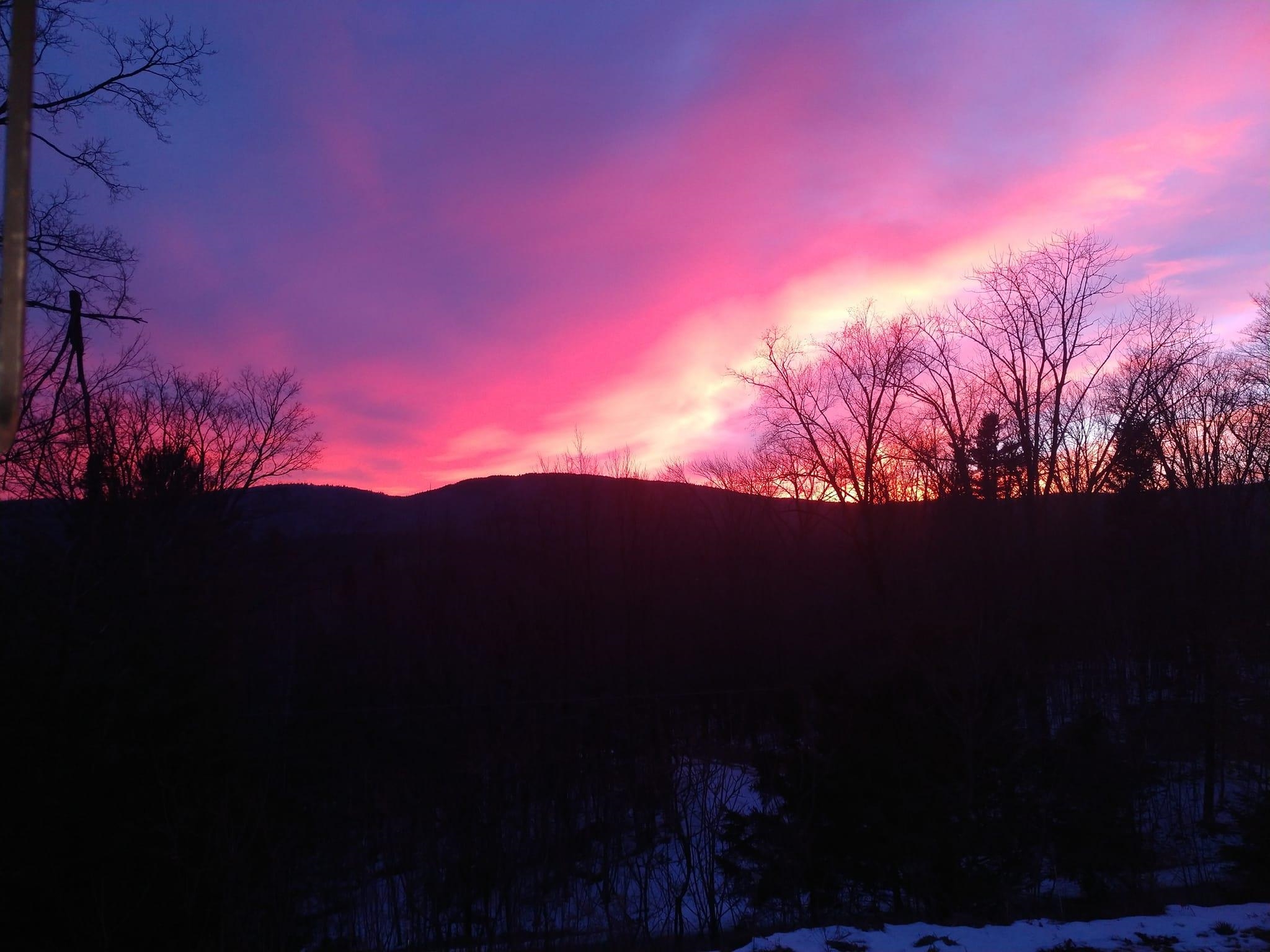 Your Vermont Tree House Awaits
