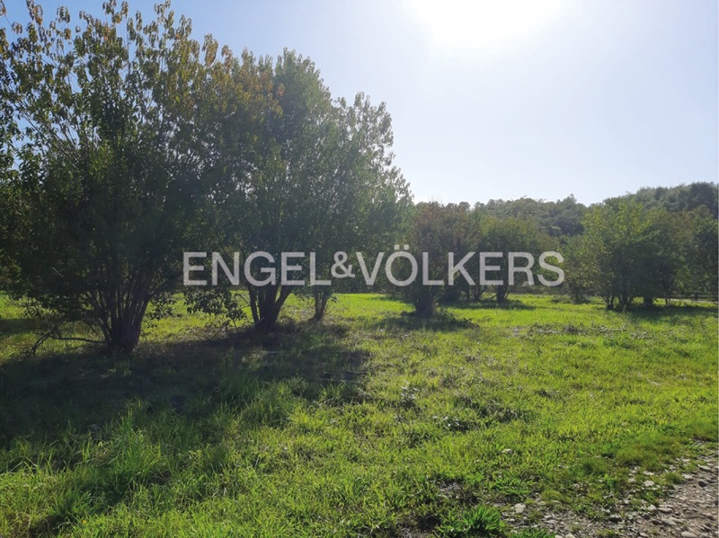 Excelente Parcela a pasos Isla Teja