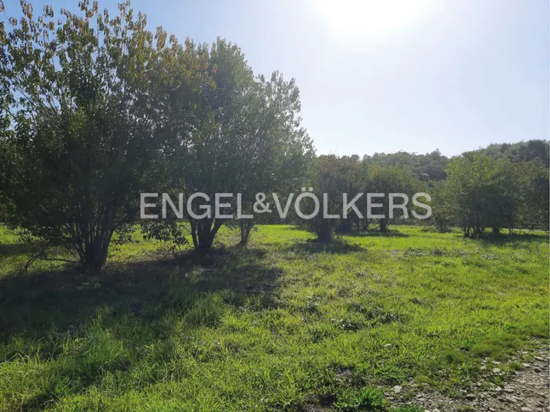 A sunny, green field with trees and the Engel & Völkers logo.