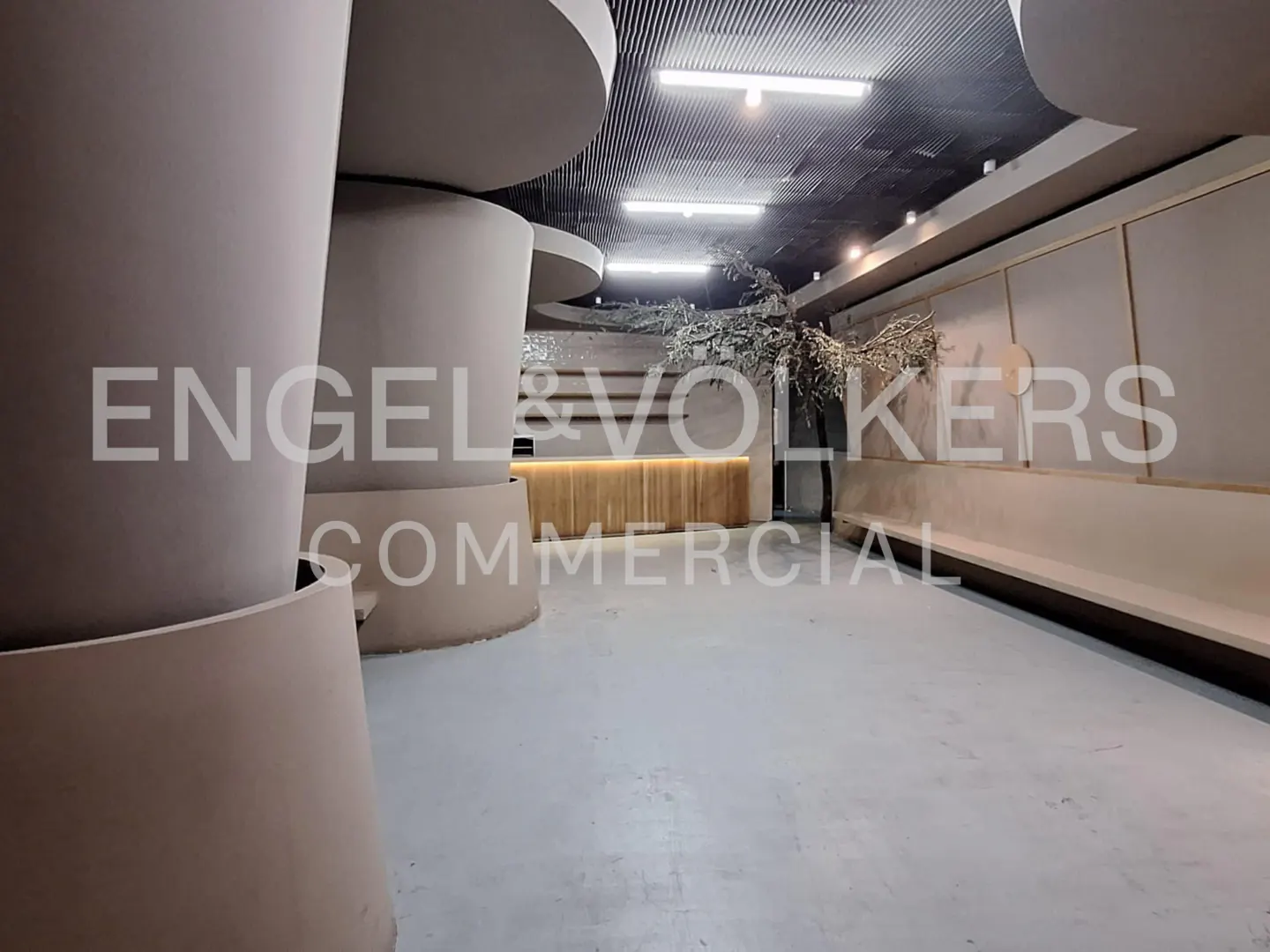 Interior view of a commercial space with gray floors, cylindrical structures, a wooden reception desk, and decorative trees.