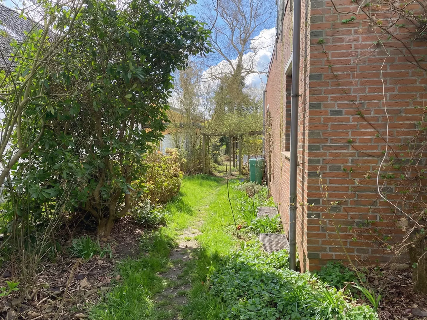 A narrow grassy path leads through a lush garden, next to a red brick building under a sunny sky.